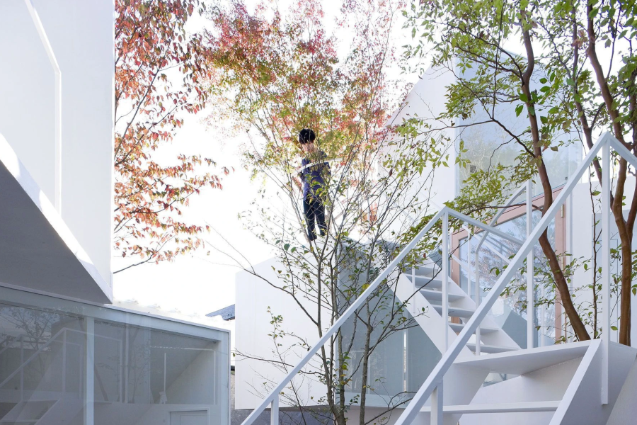 从洞穴到城市森林：藤本壮介的原始未来主义| House Before House/藤本壮介建筑设计事务所 | 极速案例 - 极速工作流